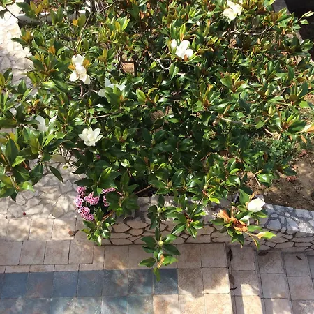 Jadranka Apartamento Barbat na Rabu