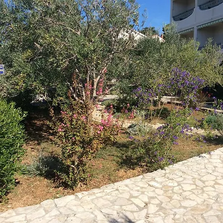 Jadranka *