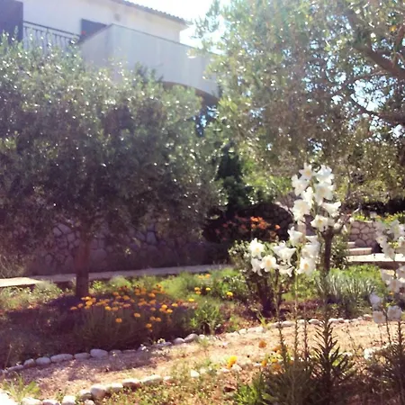 Jadranka Apartamento Barbat na Rabu