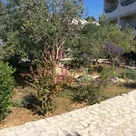 Jadranka *