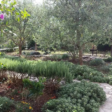 公寓 雅德兰卡公寓 *