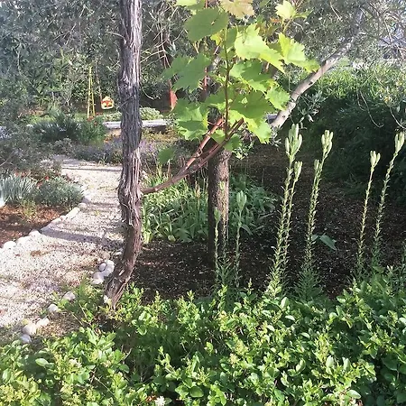 Διαμέρισμα Jadranka