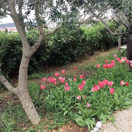 公寓 雅德兰卡公寓 Barbat na Rabu