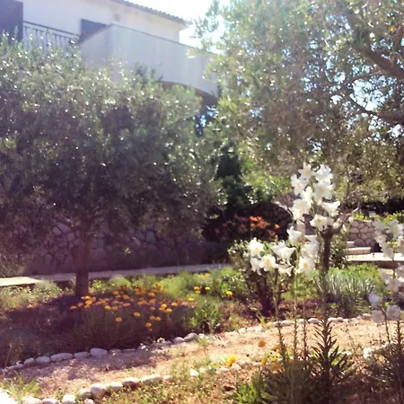 Jadranka Apartment Barbat na Rabu