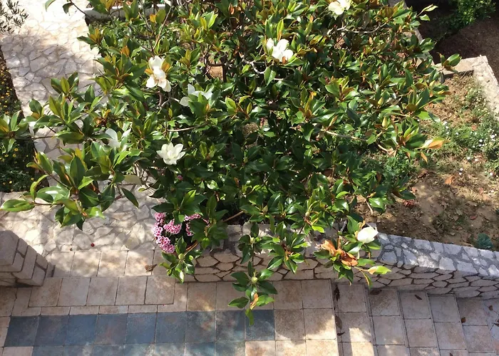 Jadranka Apartment Barbat na Rabu