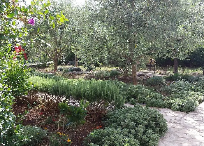 Apartment Jadranka *