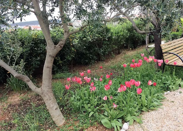 דירה Jadranka Barbat na Rabu